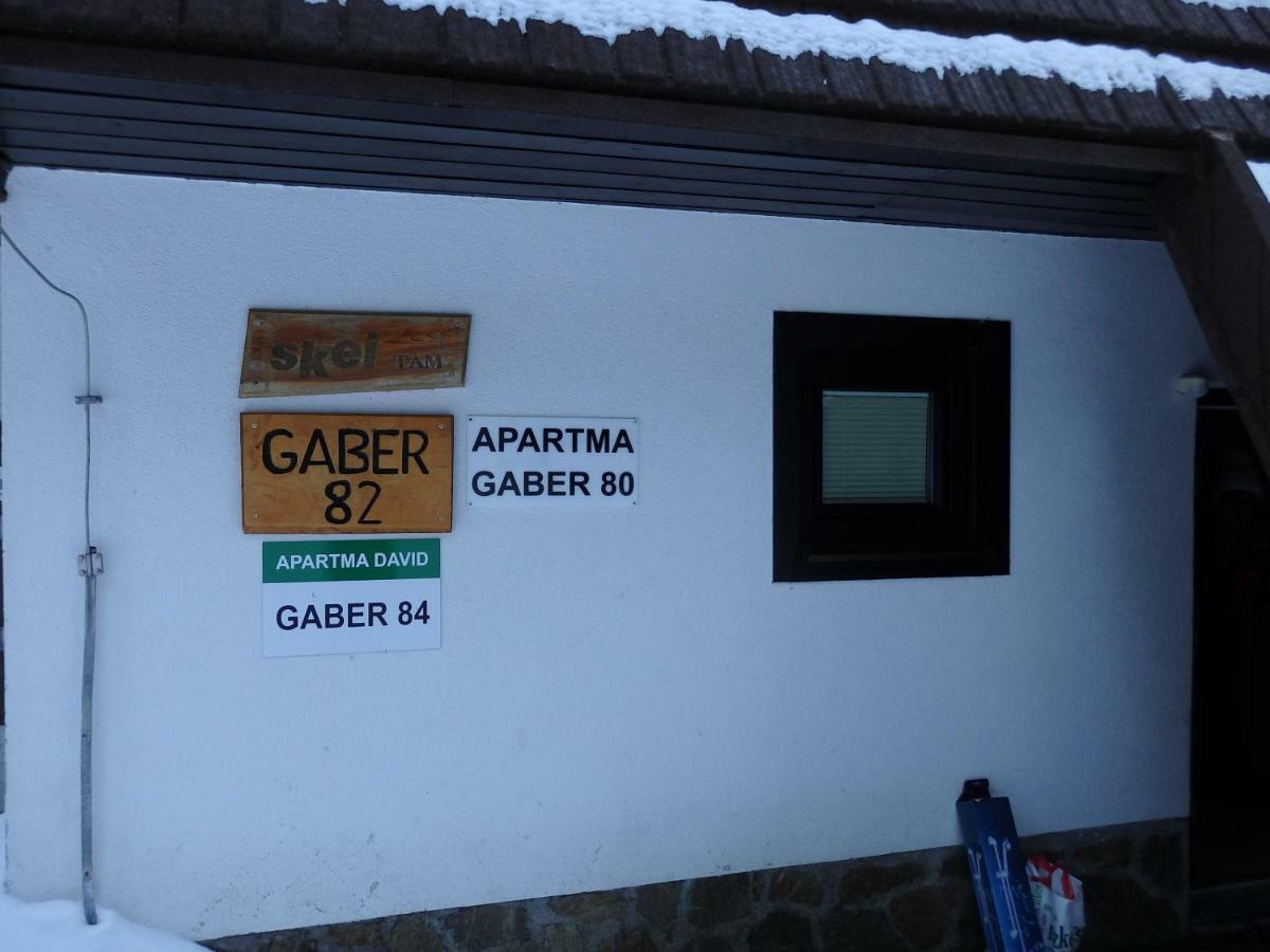 Apartma Gaber 80 Zrece Bagian luar foto