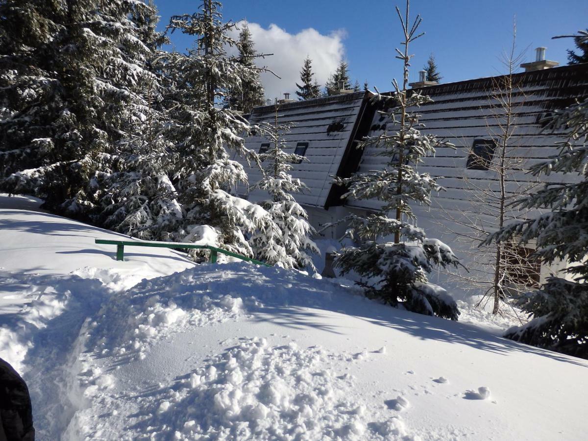 Apartma Gaber 80 Zrece Bagian luar foto